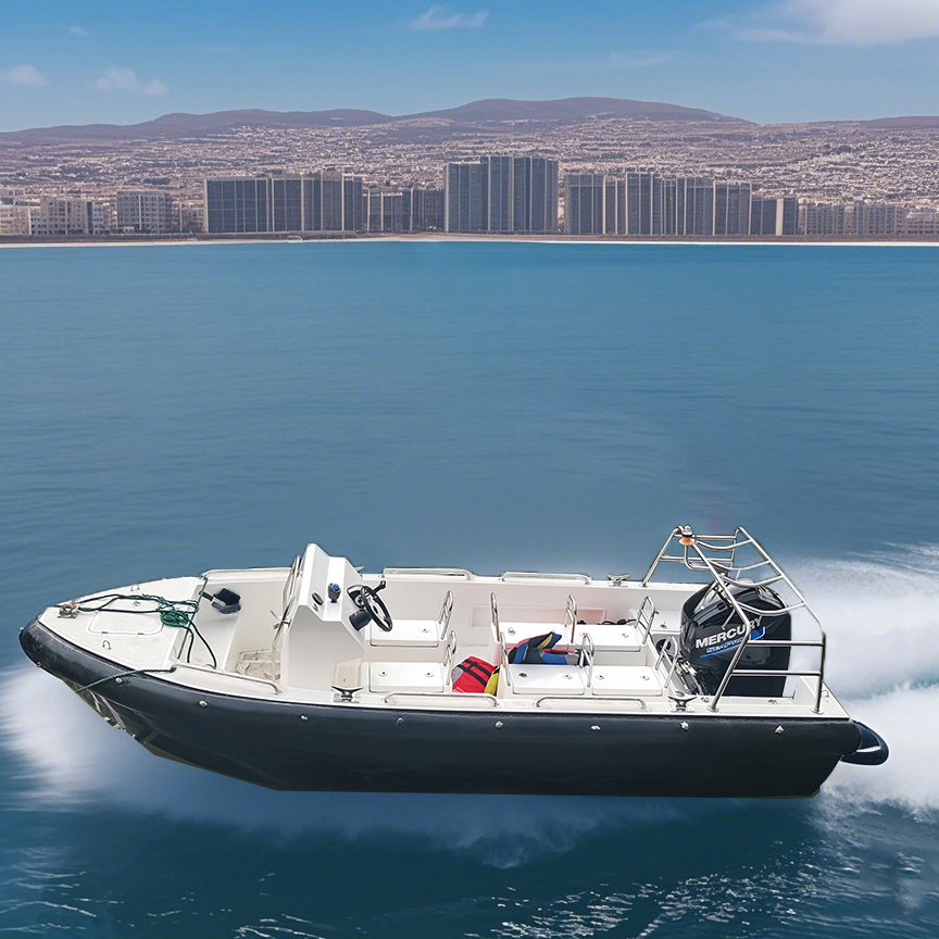 5.5m Fiberglass Multi-Role Patrol Rescue Speed boat 6 Passenger Fishing/Sports Boat